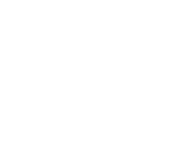 jiu jitsu kickboxing